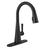 Lenta Single-Handle Pull-Down Sprayer Kitchen Faucet with ShieldSpray Technology SpotShield Stainless - Super Arbor