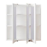 Project Source 24.25-in x 24-in Surface Mount White Mirrored Medicine Cabinet