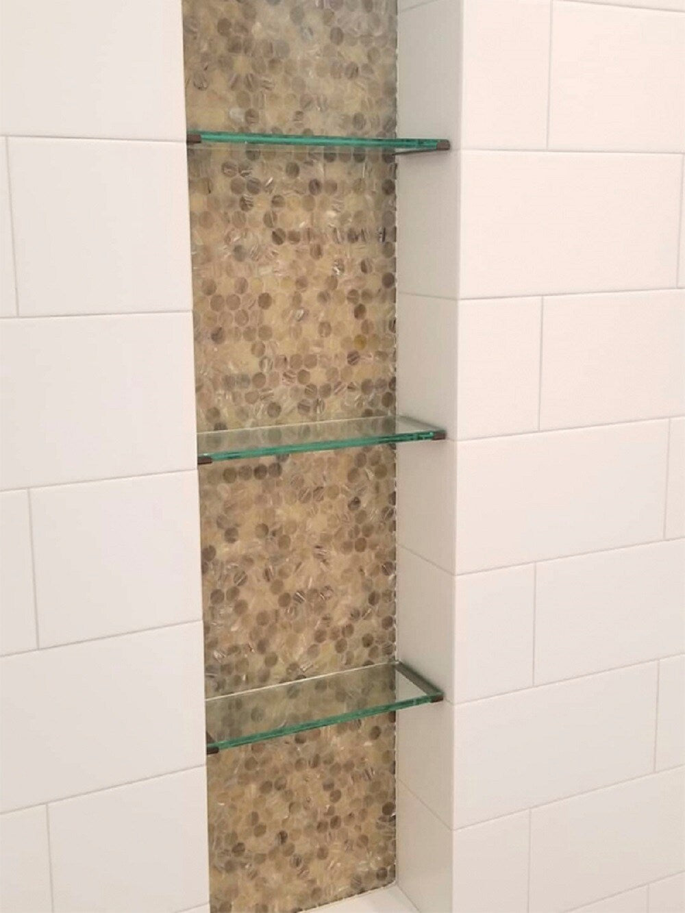 Apollo Tile Majeste Brown 12-in x 12-in Glossy Glass Penny Round Patterned Floor and Wall Tile (10.34-sq. ft/ Carton)