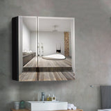 WELLFOR KAIF 30-in x 26-in Surface/Recessed Mount Black Mirrored Soft Close Medicine Cabinet