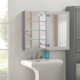 WELLFOR KAIF 19-in x 30-in Surface/Recessed Mount Aluminum Mirrored Soft Close Medicine Cabinet