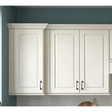 allen + roth Pattingham 36-in W x 24.5-in H x 12-in D Harbor Wall Fully Assembled Cabinet (Raised Panel Square Door Style)