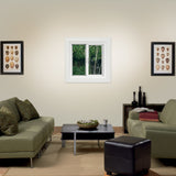 JELD-WEN FiniShield V-4500 23-1/2-in x 23-1/2-in x 3-in Jamb Left-Operable Vinyl Sliding Window, Black Exterior/White Interior, Full Screen Included