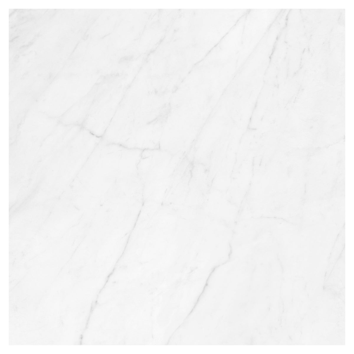 Satori Carrara Domani Polished 24-in x 24-in Polished Porcelain Marble Look Floor Tile