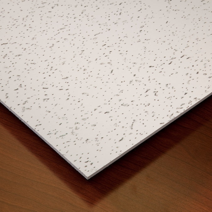 Genesis 4-ft x 2-ft Printed Pro White PVC Drop Ceiling Tile (1-Pack, 8-sq ft / Case)