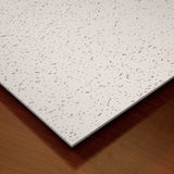 Genesis 4-ft x 2-ft Printed Pro White PVC Drop Ceiling Tile (1-Pack, 8-sq ft / Case)