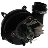 Packard 48331 inducer motor - detail view (Type: Shaded Pole; Voltage: 115V)