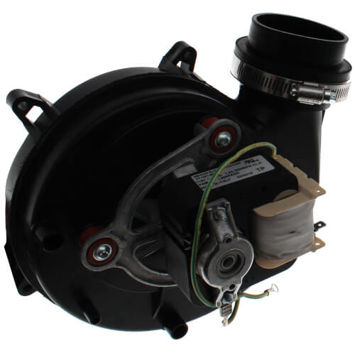 Packard 48331 inducer motor - detail view (Type: Shaded Pole; Voltage: 115V)