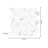 Satori Statuario 12-in x 12-in Polished Porcelain Marble Look Hexagon Mosaic Floor and Wall Tile (0.96-sq. ft/ Piece)