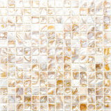 Apollo Tile (Sample) Wall Bright Beige Natural Shell 4-in x 4-in Polished Marble Uniform Squares Patterned Wall Tile