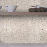 Apollo Tile (Sample) Wall Beige Natural Shell 4-in x 4-in Polished Marble Uniform Squares Patterned Wall Tile