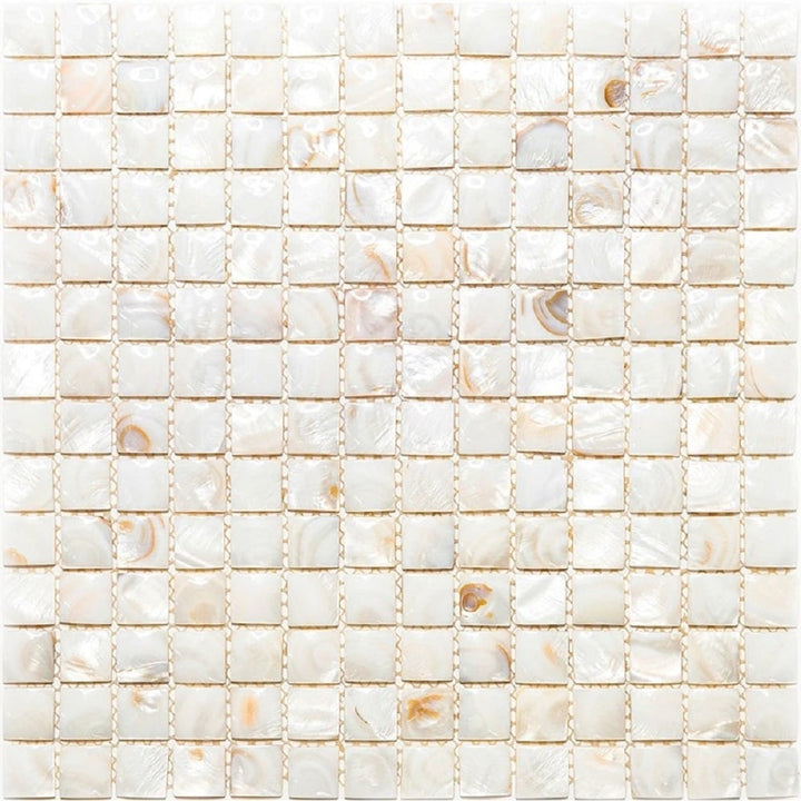Apollo Tile (Sample) Wall Cream Natural Shell 4-in x 4-in Polished Marble Uniform Squares Patterned Wall Tile