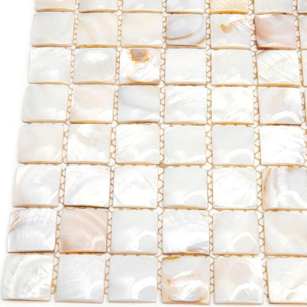 Apollo Tile (Sample) Wall Cream Natural Shell 4-in x 4-in Polished Marble Uniform Squares Patterned Wall Tile