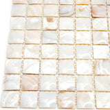Apollo Tile (Sample) Wall Cream Natural Shell 4-in x 4-in Polished Marble Uniform Squares Patterned Wall Tile