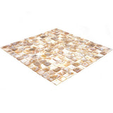 Apollo Tile (Sample) Wall Bright Beige Natural Shell 4-in x 4-in Polished Marble Uniform Squares Patterned Wall Tile