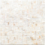Apollo Tile (Sample) Wall Beige and White Natural Shell 4-in x 4-in Polished Marble Mixed Pattern Patterned Wall Tile