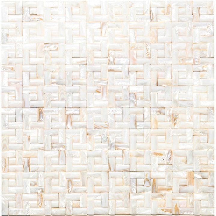 Apollo Tile (Sample) Wall Beige and White Natural Shell 4-in x 4-in Polished Marble Mixed Pattern Patterned Wall Tile