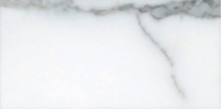 Apollo Tile Grandis White 3-in x 6-in Honed Natural Stone Marble Subway Floor and Wall Tile (5-sq. ft/ Carton)