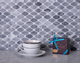 Apollo Tile (Sample) Floor and Wall Tile Gray and White 4-in x 4-in Polished Marble Octagon Dot Patterned Floor and Wall Tile