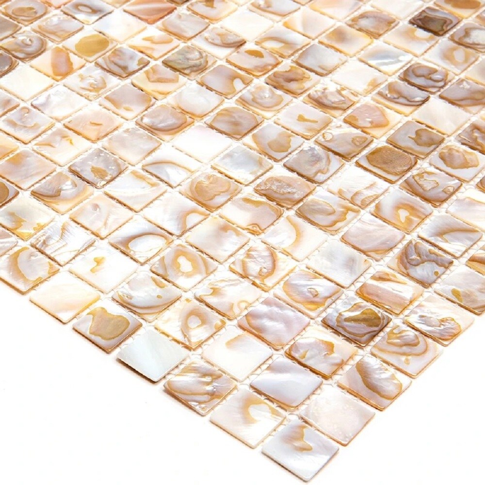 Apollo Tile (Sample) Wall Bright Beige Natural Shell 4-in x 4-in Polished Marble Uniform Squares Patterned Wall Tile