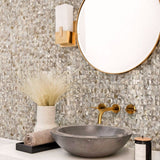 Apollo Tile (Sample) Wall White and Beige Natural Shell 4-in x 4-in Polished Marble Uniform Squares Patterned Wall Tile