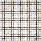 Apollo Tile (Sample) Wall Beige Natural Shell 4-in x 4-in Polished Marble Uniform Squares Patterned Wall Tile