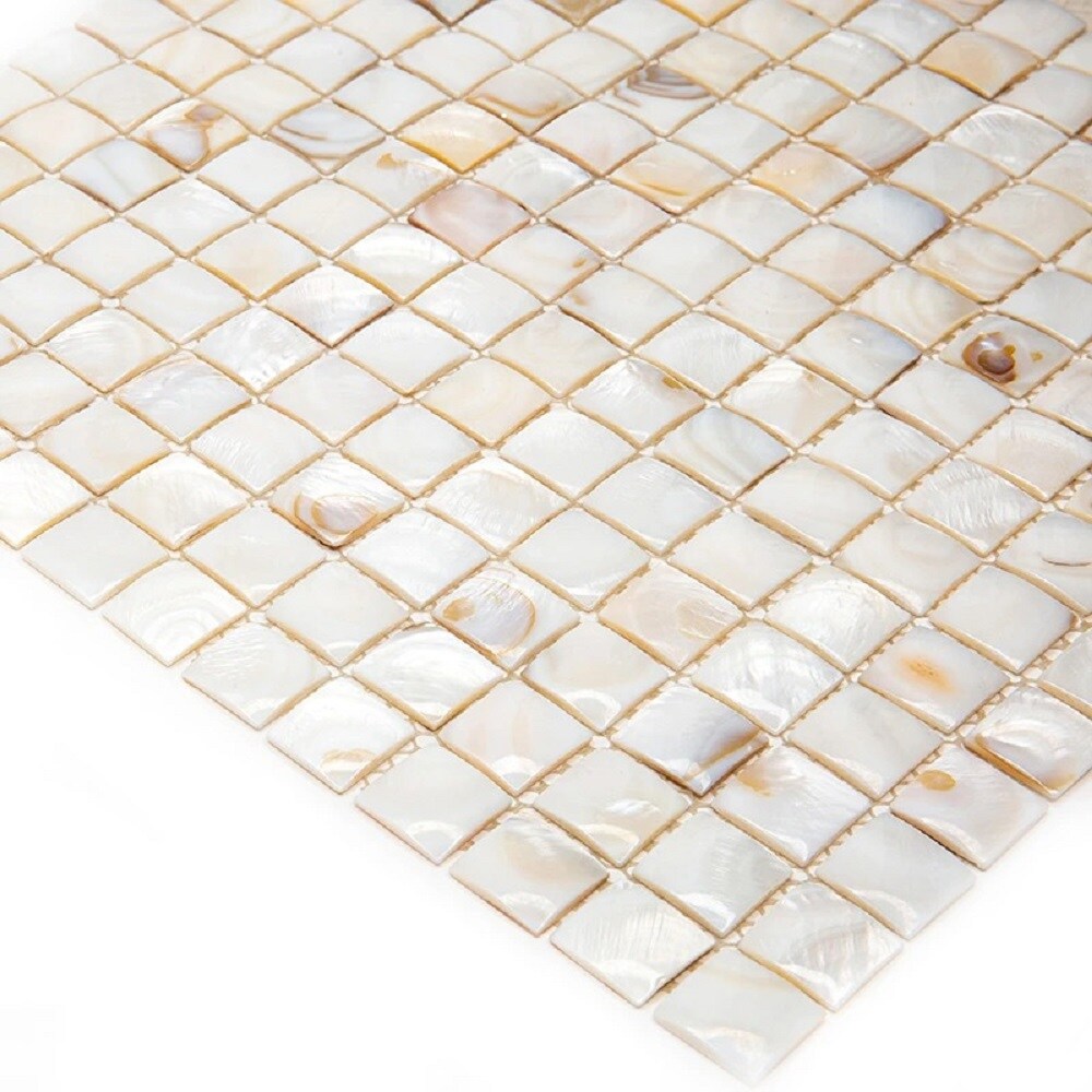 Apollo Tile (Sample) Wall Cream Natural Shell 4-in x 4-in Polished Marble Uniform Squares Patterned Wall Tile