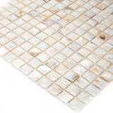 Apollo Tile (Sample) Wall Cream Natural Shell 4-in x 4-in Polished Marble Uniform Squares Patterned Wall Tile