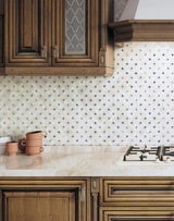 Apollo Tile (Sample) Wall Tile White 4-in x 6-in Polished Marble Wall Tile