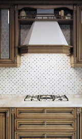 Apollo Tile (Sample) Wall Tile White 4-in x 6-in Polished Marble Wall Tile
