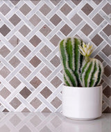 Apollo Tile (Sample) Floor and Wall Tile Beige 4-in x 4-in Polished Marble Floor and Wall Tile