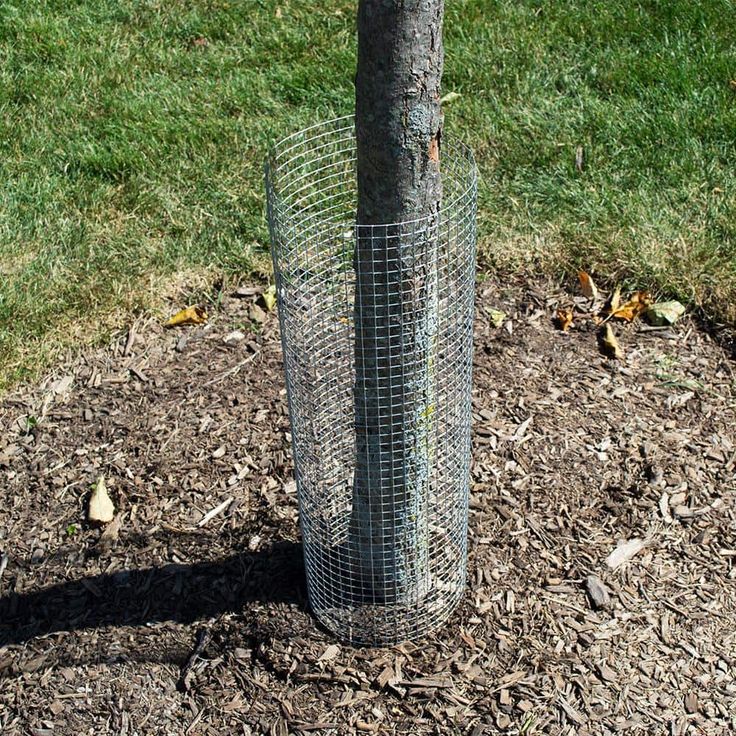 Everbilt 1/2 in. Mesh x 3 ft. x 25 ft. 19-Gauge Galvanized Steel Hardware Cloth