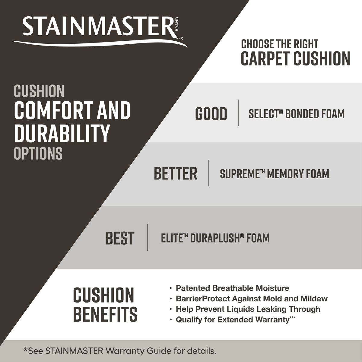 STAINMASTER Essentials So in Love Coastal Morning Pattern Carpet (Indoor)
