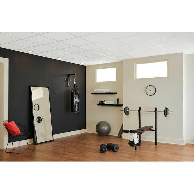 Armstrong Ceilings 2-ft x 2-ft Random Textured Contractor White Mineral Fiber Drop Ceiling Tile (16-Pack, 64-sq ft / Case)