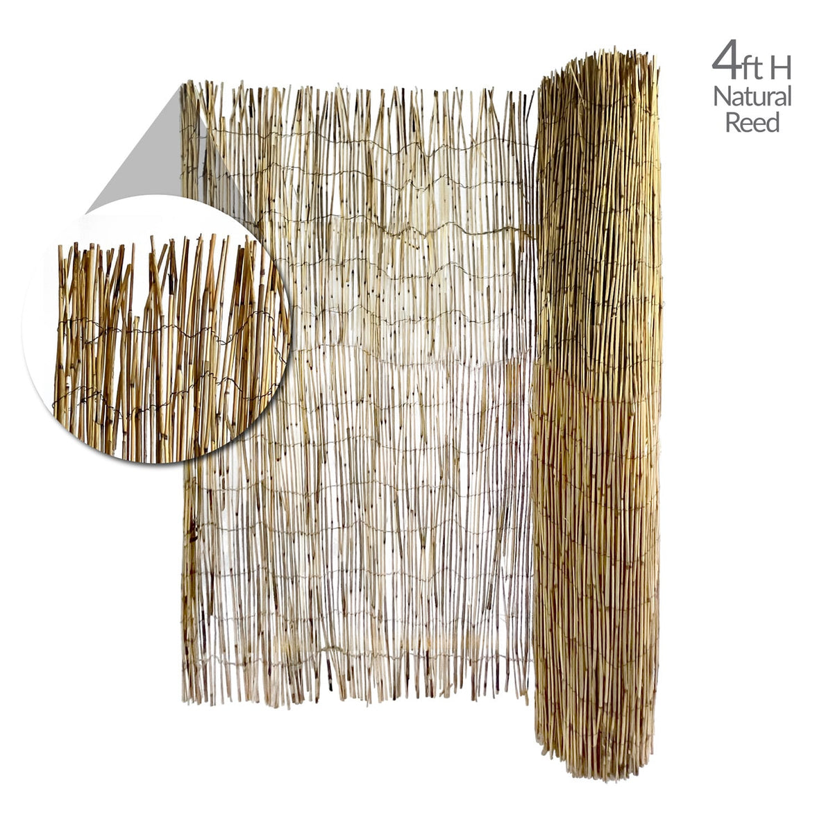 Garden Craft 8x4 FT Bamboo Reed Fencing - Light Brown, Durable & Versatile