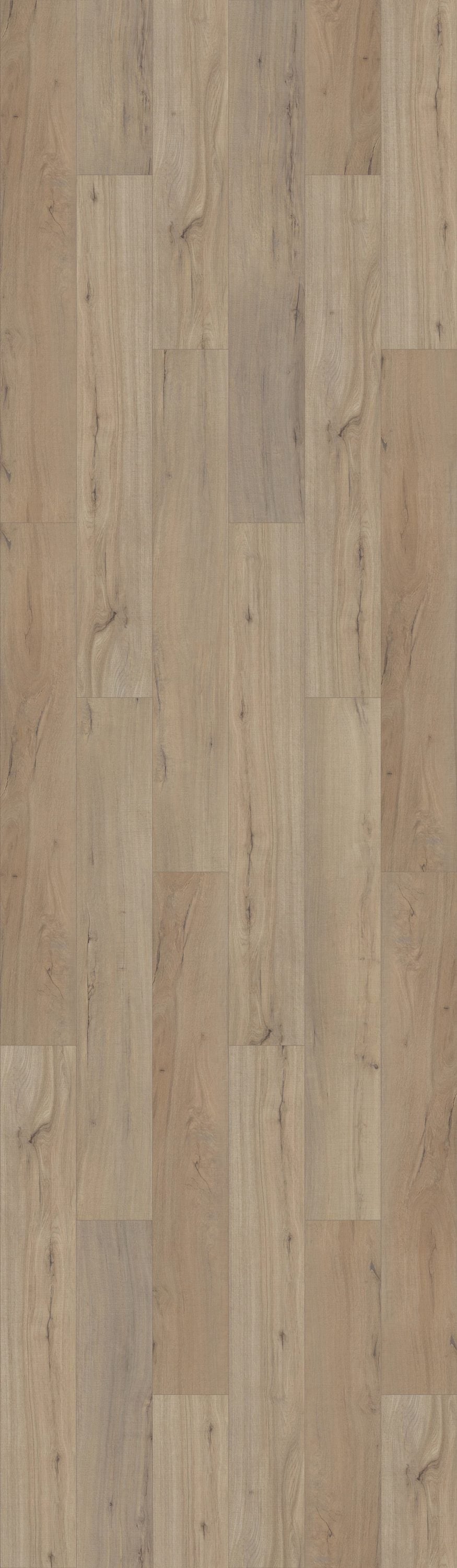 Shaw Tundra Plus Coast Wood 7-in Wide x 5-mm Thick Waterproof Luxury Vinyl Plank Flooring (18.91-sq ft)