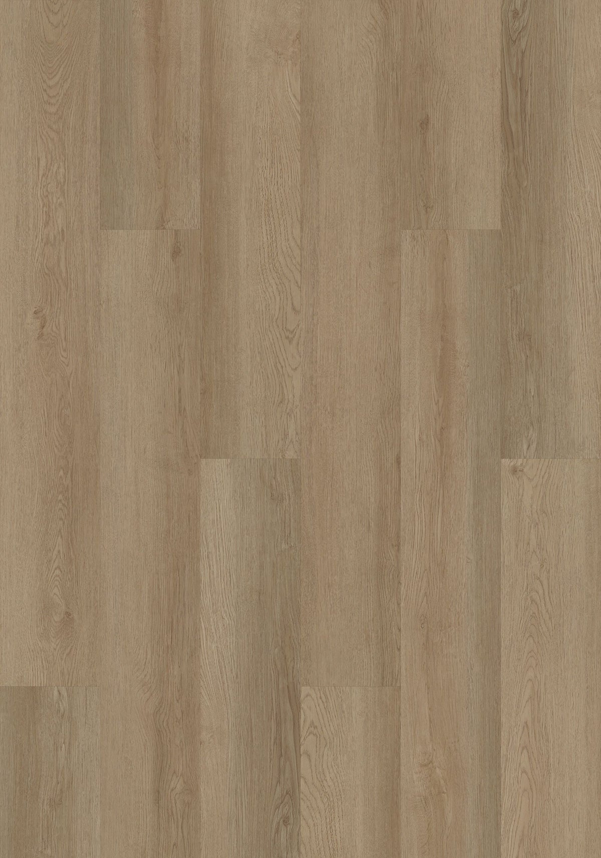 Shaw Boundless 8 Grand River Brown 8-mil x 7-in W x 48-in L Waterproof Glue Down Luxury Vinyl Plank Flooring (34.98-sq ft/ Carton)