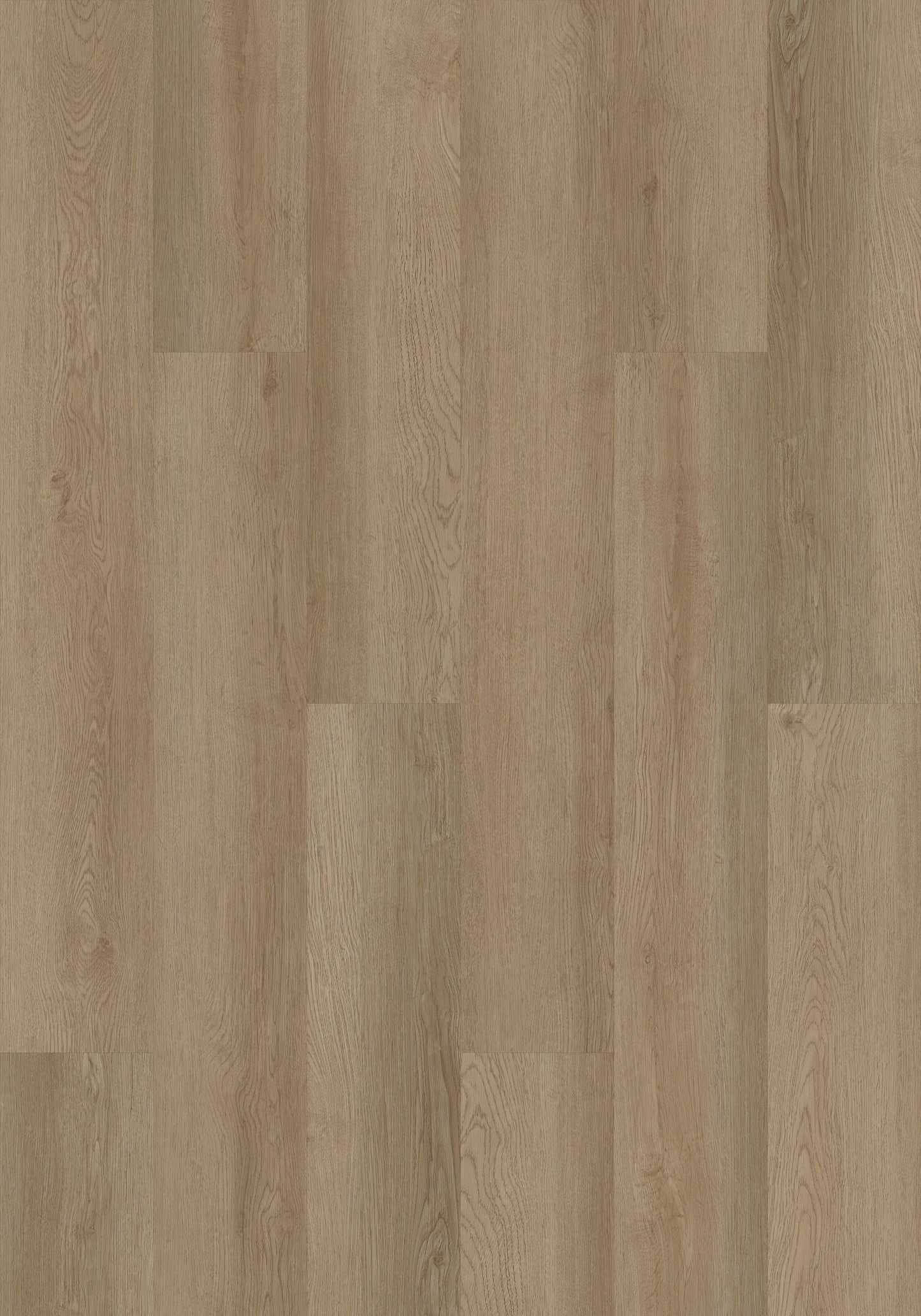 Shaw Boundless 8 Grand River Brown 8-mil x 7-in W x 48-in L Waterproof Glue Down Luxury Vinyl Plank Flooring (34.98-sq ft/ Carton)