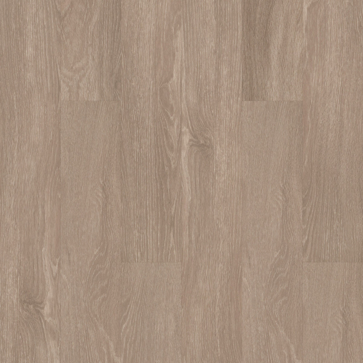 Shaw Downtown Hollywood Boulevard Brown 8-mil x 6-in W x 48-in L Waterproof Glue Down Luxury Vinyl Plank Flooring (53.63-sq ft/ Carton)