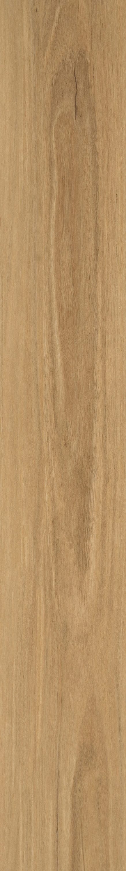 Shaw Brillance Plus Basil Brown 12-mil x 7-in W x 48-in L Waterproof Interlocking Luxury Vinyl Plank Flooring (23.64-sq ft/ Carton)