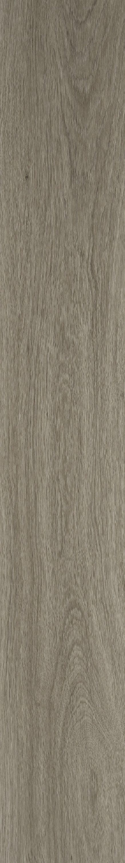 Shaw Brillance Plus President Oak Gray 12-mil x 7-in W x 48-in L Waterproof Interlocking Luxury Vinyl Plank Flooring (23.64-sq ft/ Carton)