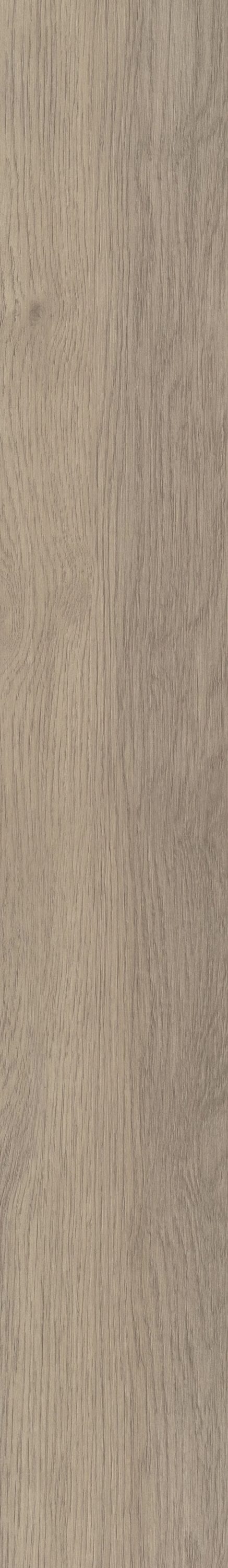 Shaw Boundless 8 Riverbank Brown 8-mil x 7-in W x 48-in L Waterproof Glue Down Luxury Vinyl Plank Flooring (34.98-sq ft/ Carton)