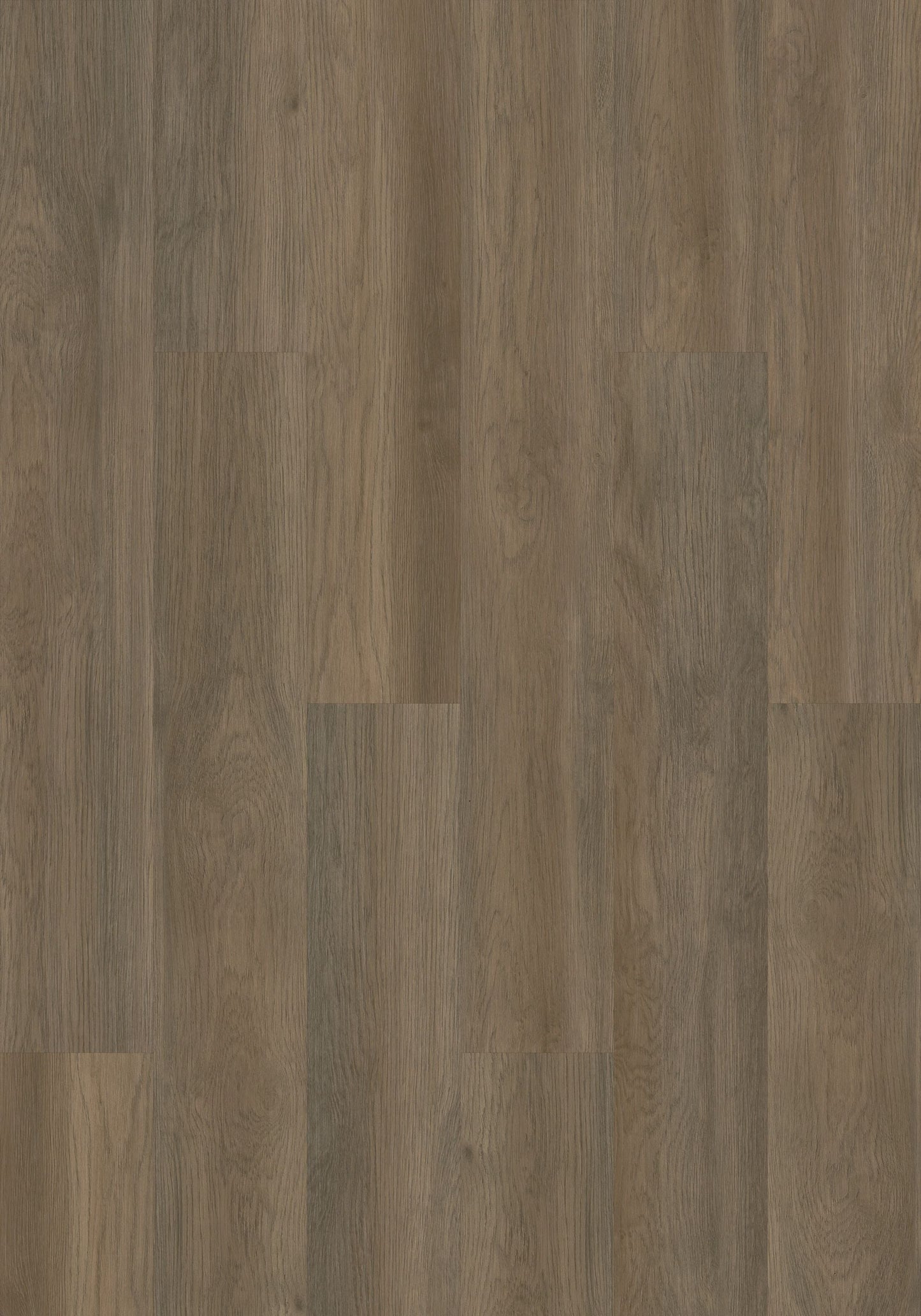 Shaw Boundless 8 Narrator Brown 8-mil x 7-in W x 48-in L Waterproof Glue Down Luxury Vinyl Plank Flooring (34.98-sq ft/ Carton)