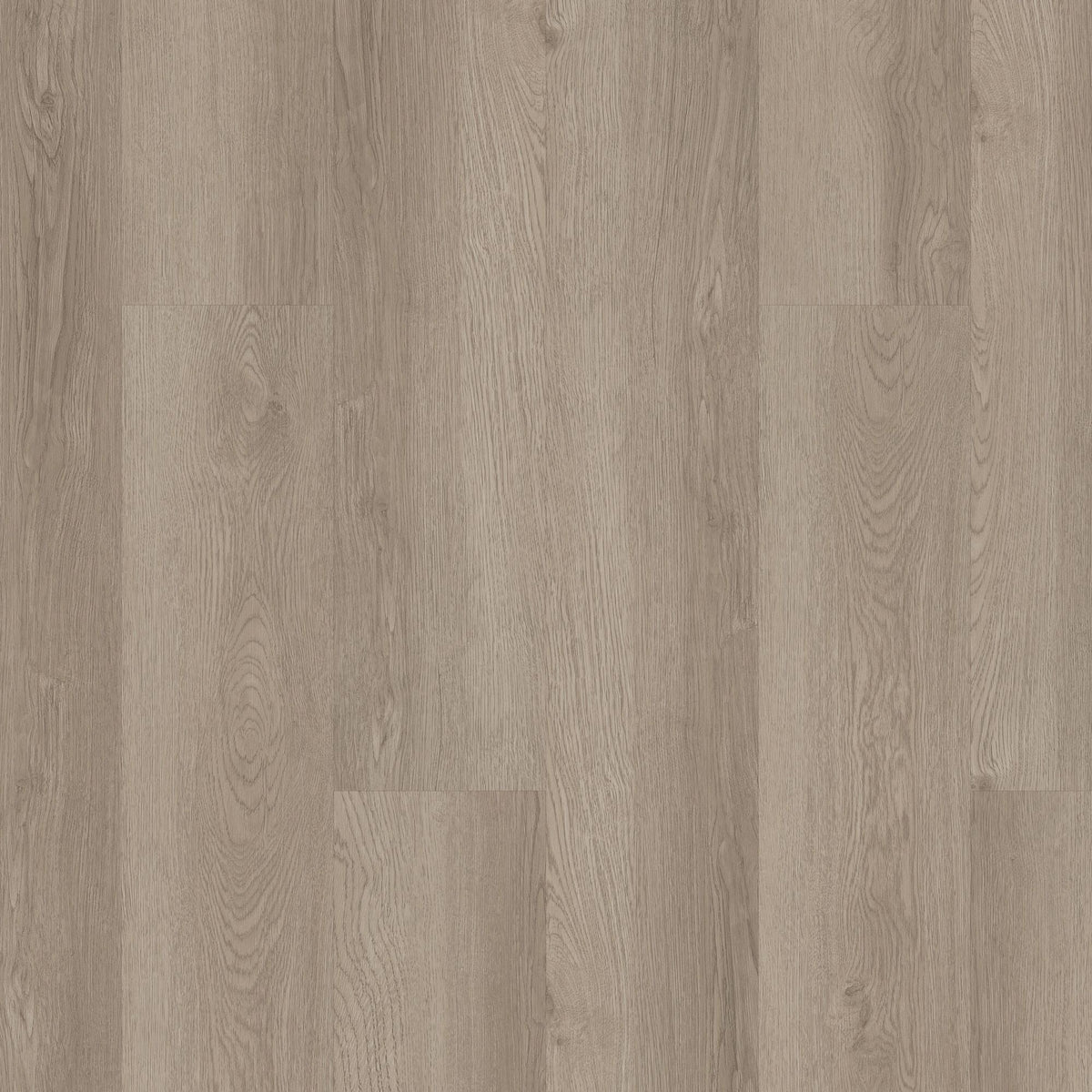 Shaw Boundless 8 Meadow Brown 8-mil x 7-in W x 48-in L Waterproof Glue Down Luxury Vinyl Plank Flooring (34.98-sq ft/ Carton)