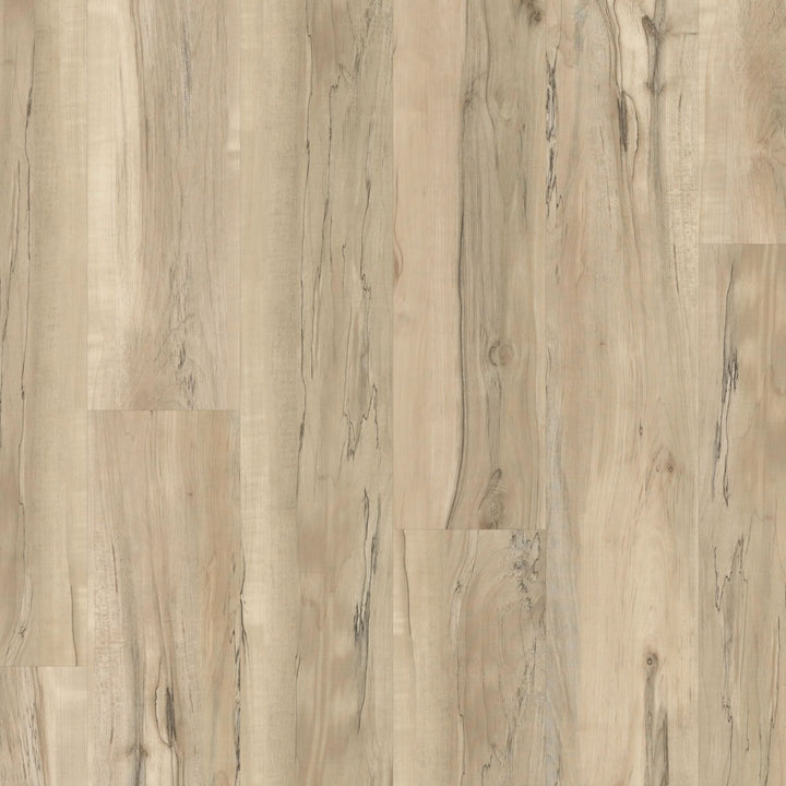 Shaw (Sample) Reflection 12 Earth Maple Brown Wood Look 12-mil Waterproof Glue Down Luxury Vinyl Plank