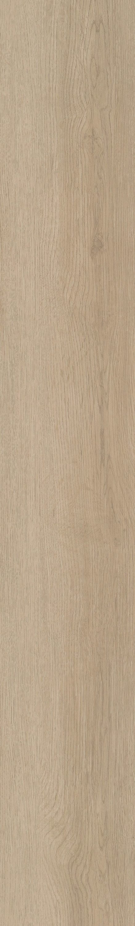 Shaw Boundless 8 Soft Field Brown 8-mil x 7-in W x 48-in L Waterproof Glue Down Luxury Vinyl Plank Flooring (34.98-sq ft/ Carton)