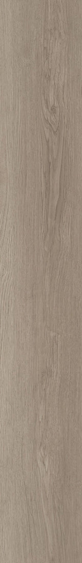Shaw Boundless 8 Meadow Brown 8-mil x 7-in W x 48-in L Waterproof Glue Down Luxury Vinyl Plank Flooring (34.98-sq ft/ Carton)
