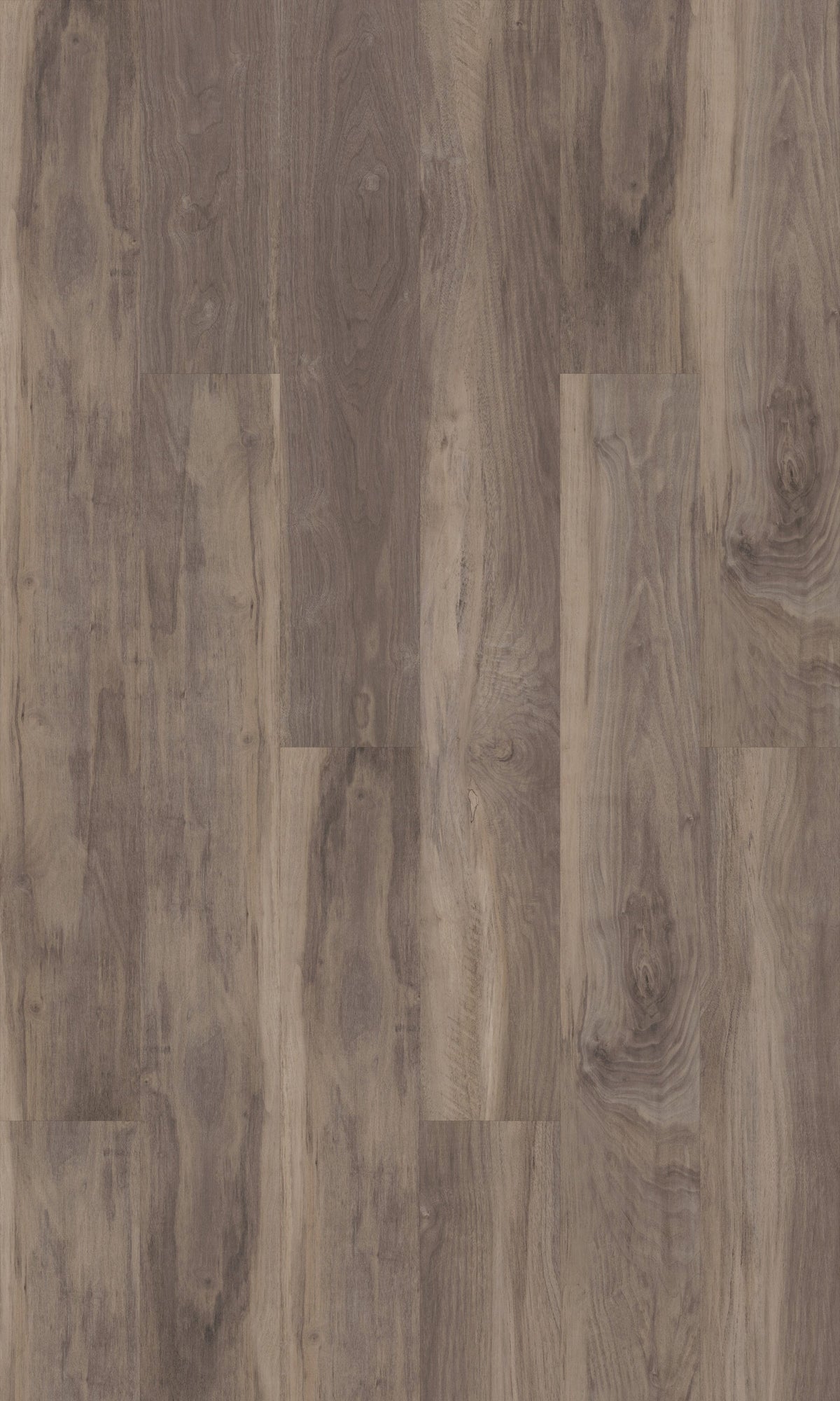 Shaw Downtown Beale Street Brown 8-mil x 6-in W x 48-in L Waterproof Glue Down Luxury Vinyl Plank Flooring (53.63-sq ft/ Carton)