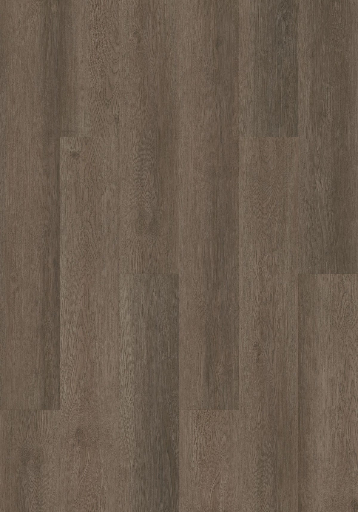 Shaw Boundless 8 Highway Brown 8-mil x 7-in W x 48-in L Waterproof Glue Down Luxury Vinyl Plank Flooring (34.98-sq ft/ Carton)