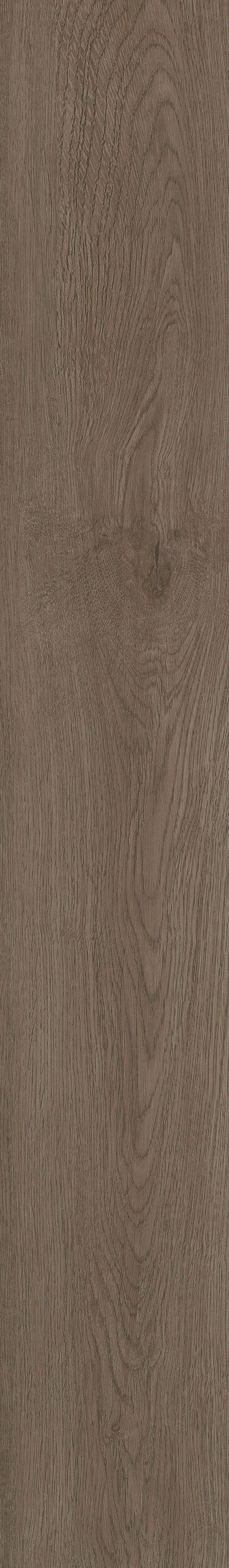 Shaw Boundless 8 Highway Brown 8-mil x 7-in W x 48-in L Waterproof Glue Down Luxury Vinyl Plank Flooring (34.98-sq ft/ Carton)